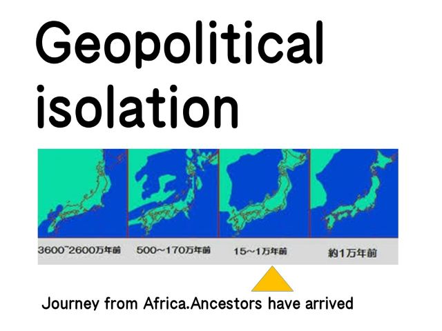 Isolated environment and language system